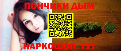 тгк Кингисепп