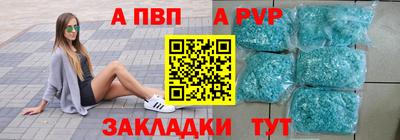тгк Кингисепп
