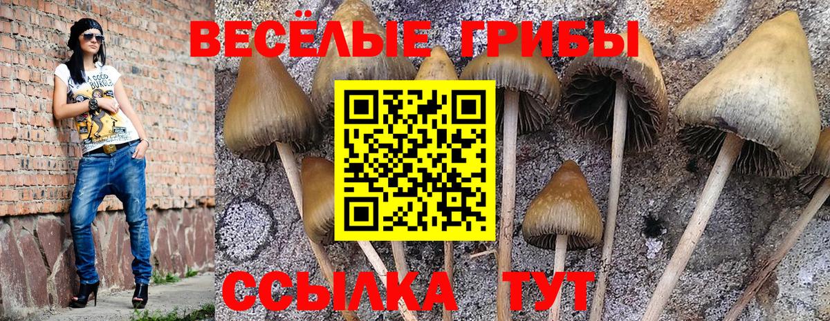 магазин продажи   Галлюциногенные грибы Psilocybe  Вход с VPN  Псилоцибиновые грибы прущие грибы  Якутск 